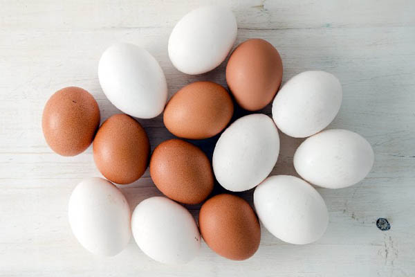 la-verdad-de-los-huevos-organicos1