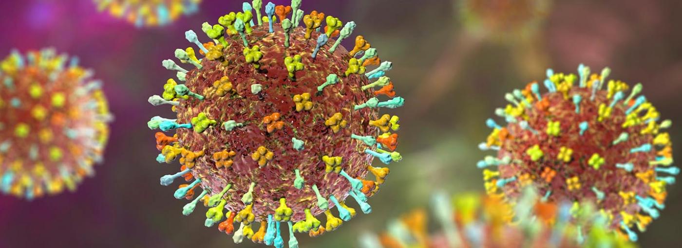 El nuevo henipavirus: ¿es motivo de alarma?
