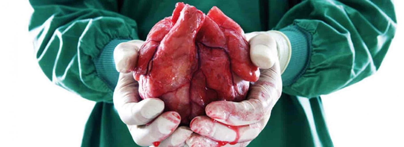 Ser o no ser donador de órganos. Mitos y realidades