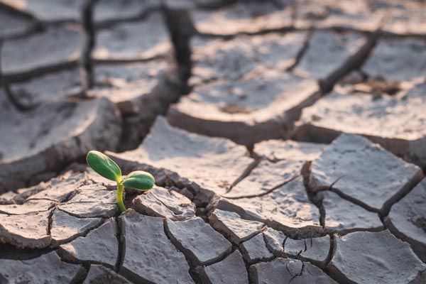 que-es-la-ansiedad-ecologica2