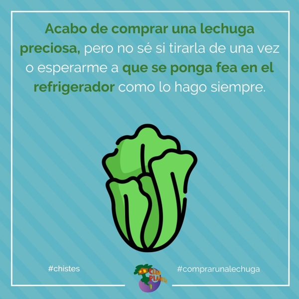 comprar una lechuga