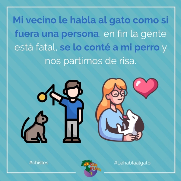 le habla al gato