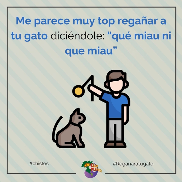 regaar a su gato