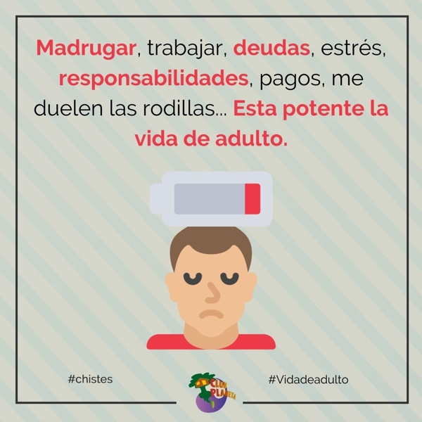 vida de adulto